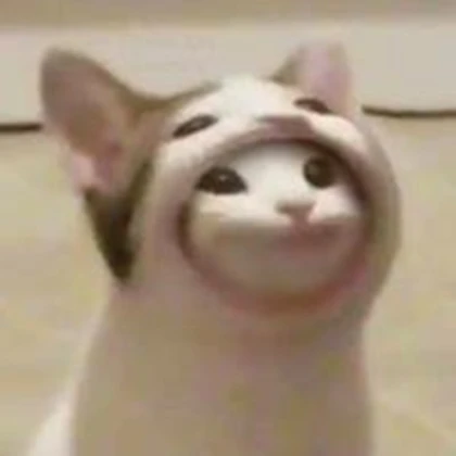 PopCatGang Roblox group icon