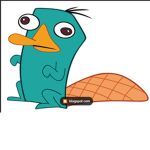 Platypus Perrrry