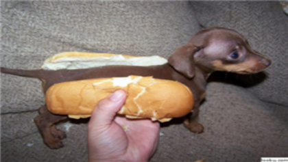 hot dog (DO NOT EAT) Roblox decal