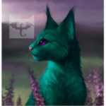 Wyvern 'Clans Tryouts