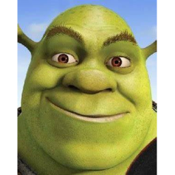 FIRE BUILDING SHREK