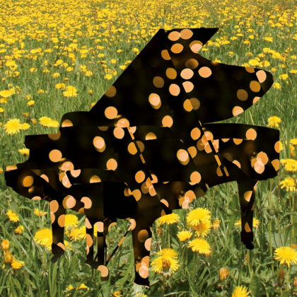 I Won't Let You Go Roblox music