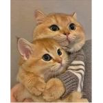 VHYGRTBYRGRE53TBYBTRVRTGGTB6TGRTRGTBRRGT