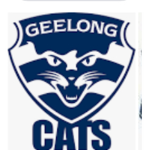 Go cats!!