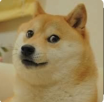 doge epik
