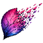 Broken Petal