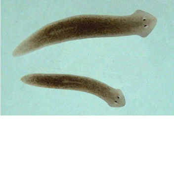 BIG MAMA IS OUT FOR YOU11!11!!//