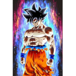 Ultra instinct goku.