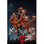 TheNBAChicagoBulls