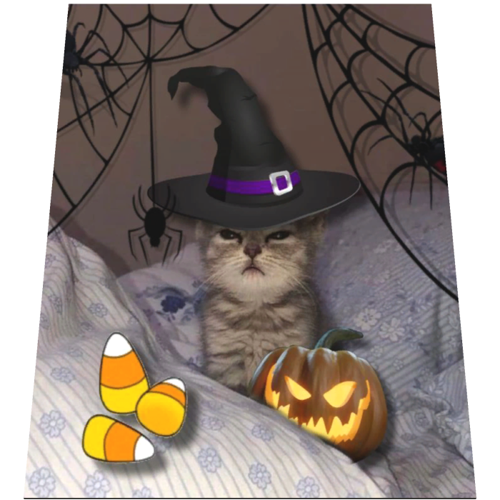 Halloween Cat Meme Cape