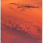 Storm Chasers Network