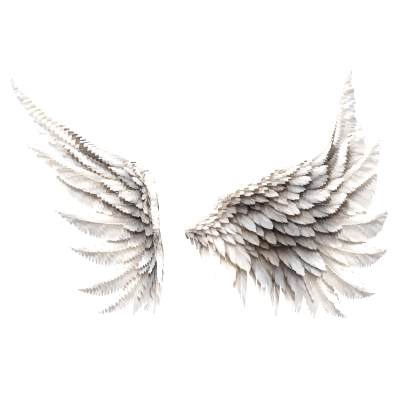 ANIMATED Angel & Devil Wings Red White Halloween