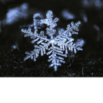 Winter Wonders fan group <3