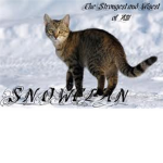 Snowclan:a clan of prophecy