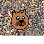 Team_pug!