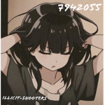 ILLICIT-SHOOTERS