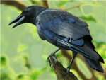 Testingdescription