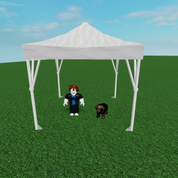 Bob Goes To a Dog Show