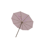 Cherry Blossom Japanese parasol