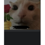 oogato