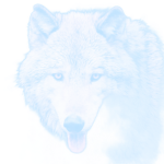 Wolf's Youtube Group