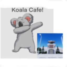 Koala Cafe!