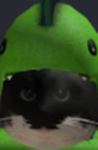 NosoyKaiser Community