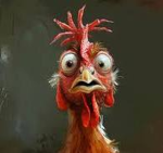 CHICKEN CULTTTT