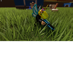 capture the flag (NEW)