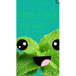 The minty fun group