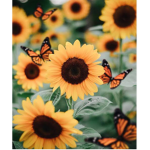 ・Sunflowers ・