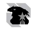 [ UNSC: Airforce Detachment ]