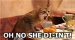 Funny Animal Lovers =]