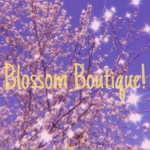 Blossom Clothing Boutique