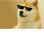 Place were people like doge