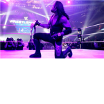 undertaker fan group