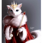 cat Queens U-U