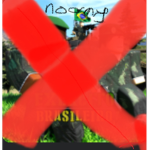 no army’s