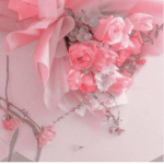 •Aesthetics bears•