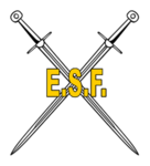 Elite Sword Fighterz
