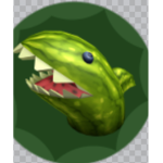 Watermelon shark Secret clan