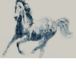 Sapphire Stables