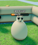 boneuser