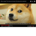 Doge team and the boys