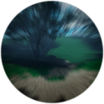 The Fast