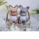 The Bunny girls' Group