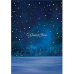 |<WinterStars>|