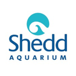 Shed Aquarium Roblox