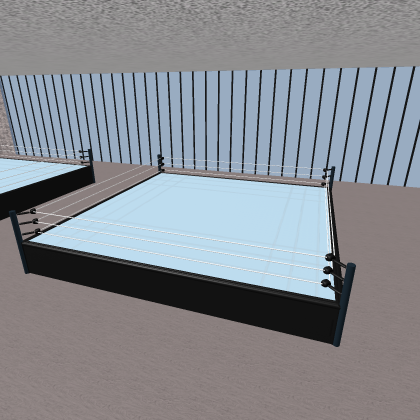 Wrestling Gym