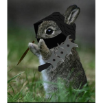 The Bunneh Army :D